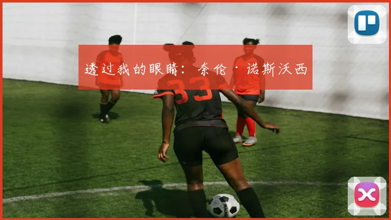 透过我的眼睛：奈伦·诺斯沃西
